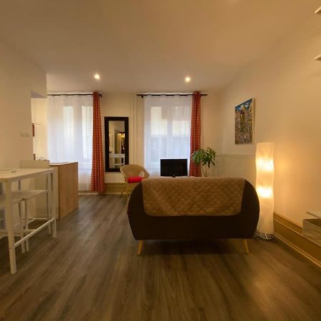 L'Ours De Colmar - Appartements En Centre Ville Екстериор снимка
