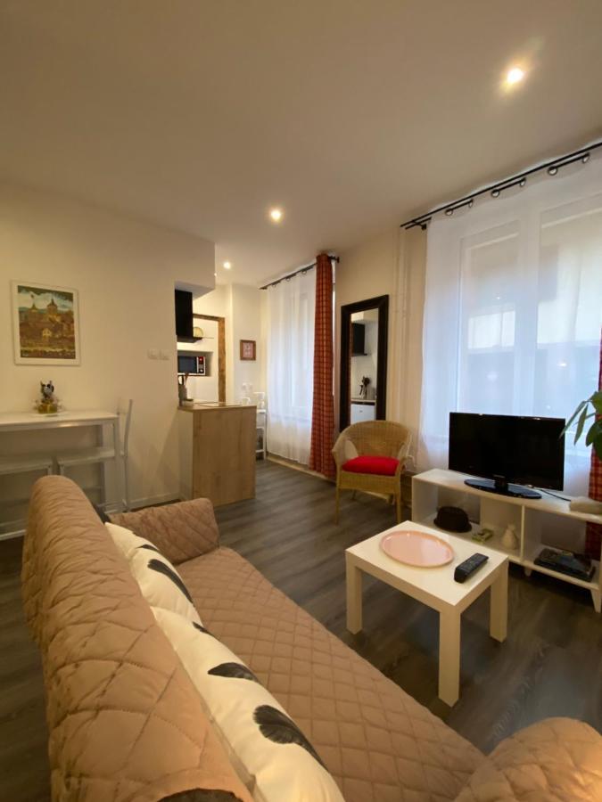 L'Ours De Colmar - Appartements En Centre Ville Екстериор снимка
