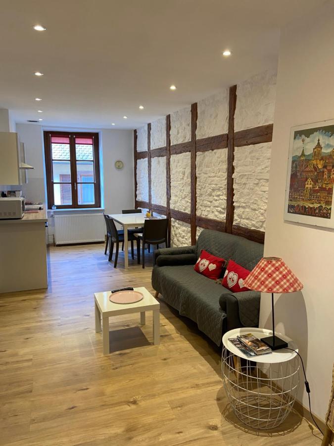 L'Ours De Colmar - Appartements En Centre Ville Екстериор снимка