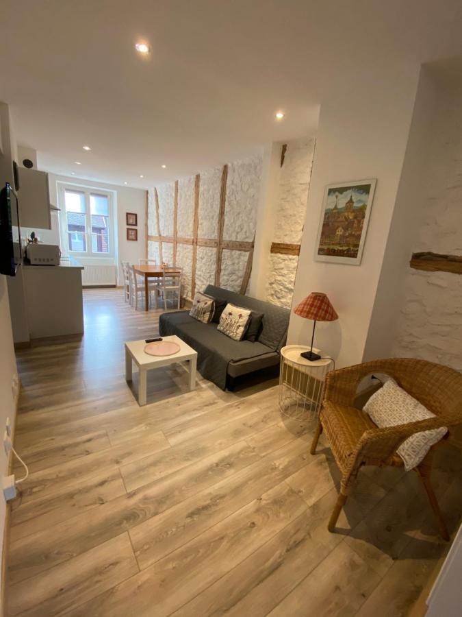 L'Ours De Colmar - Appartements En Centre Ville Екстериор снимка