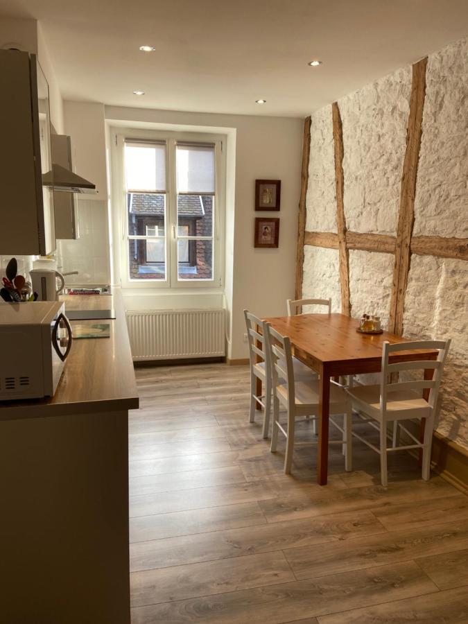 L'Ours De Colmar - Appartements En Centre Ville Екстериор снимка