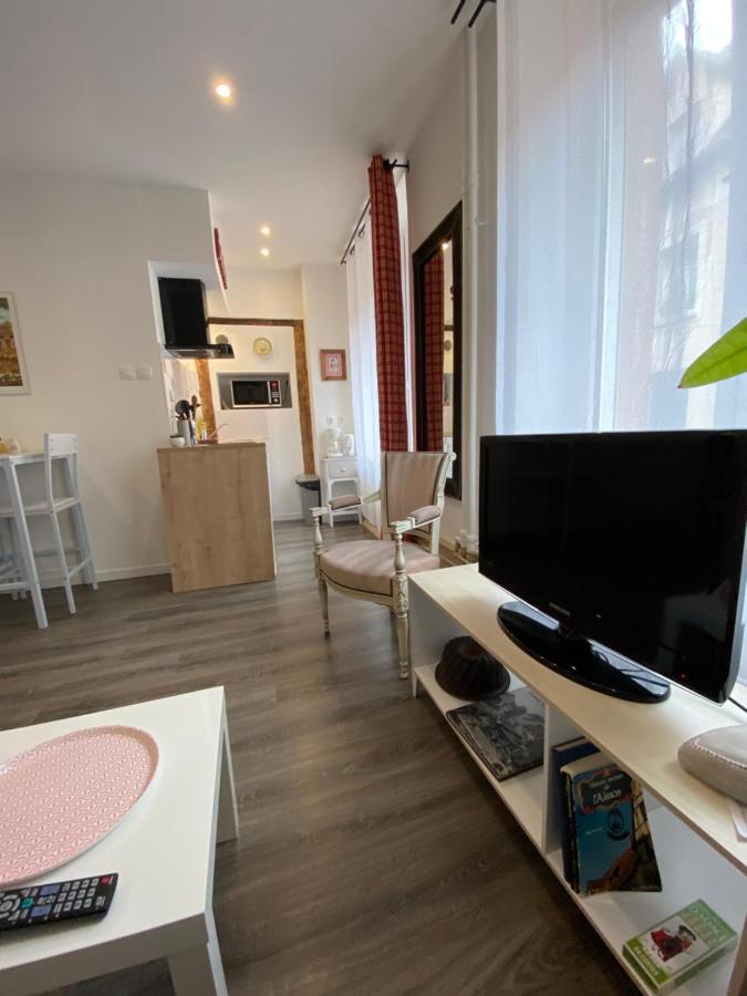 L'Ours De Colmar - Appartements En Centre Ville Екстериор снимка