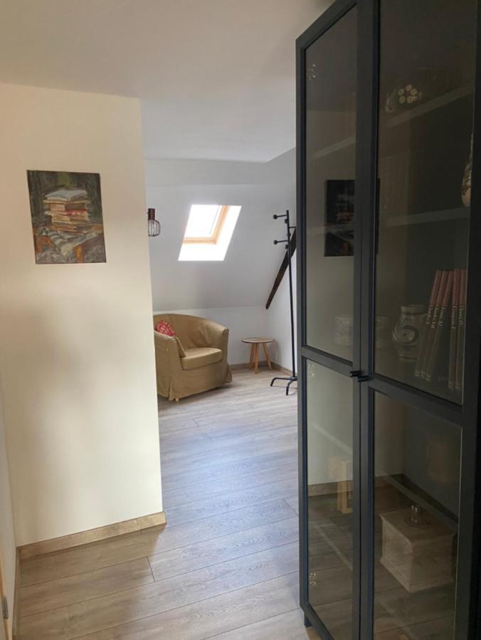 L'Ours De Colmar - Appartements En Centre Ville Екстериор снимка