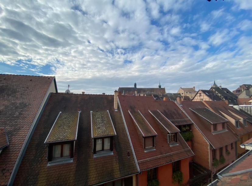 L'Ours De Colmar - Appartements En Centre Ville Екстериор снимка