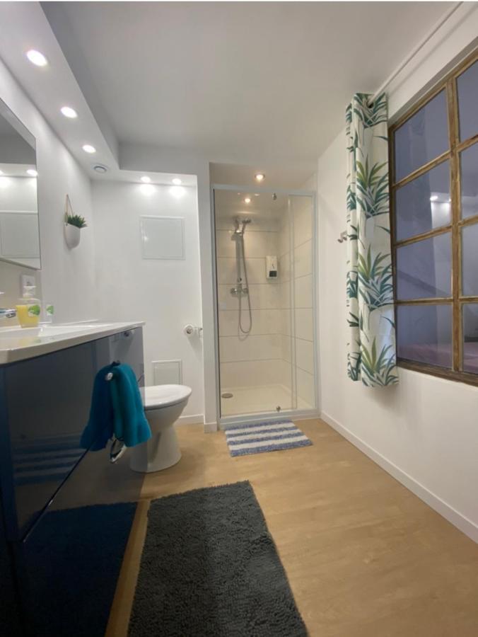 L'Ours De Colmar - Appartements En Centre Ville Екстериор снимка