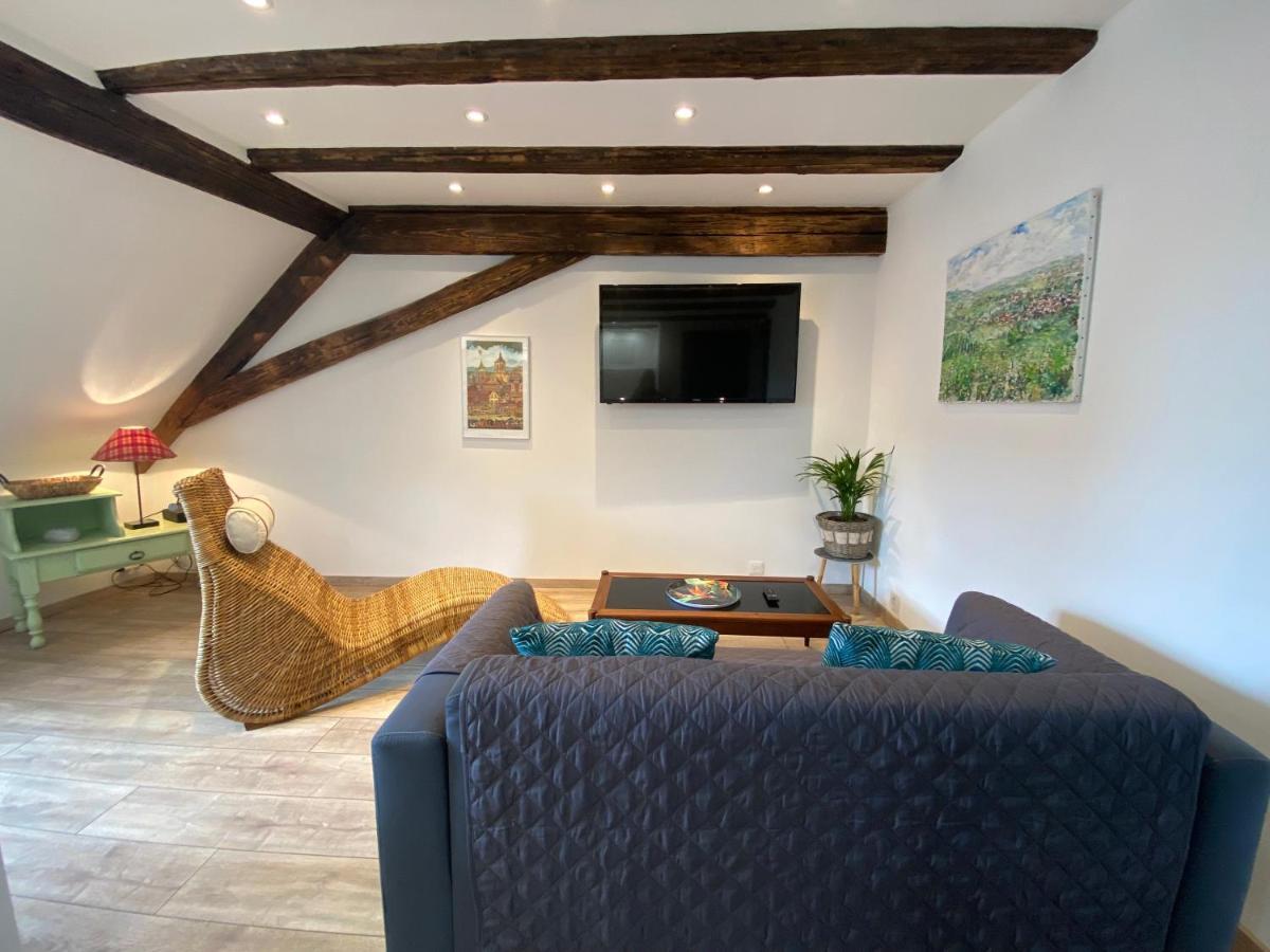 L'Ours De Colmar - Appartements En Centre Ville Екстериор снимка