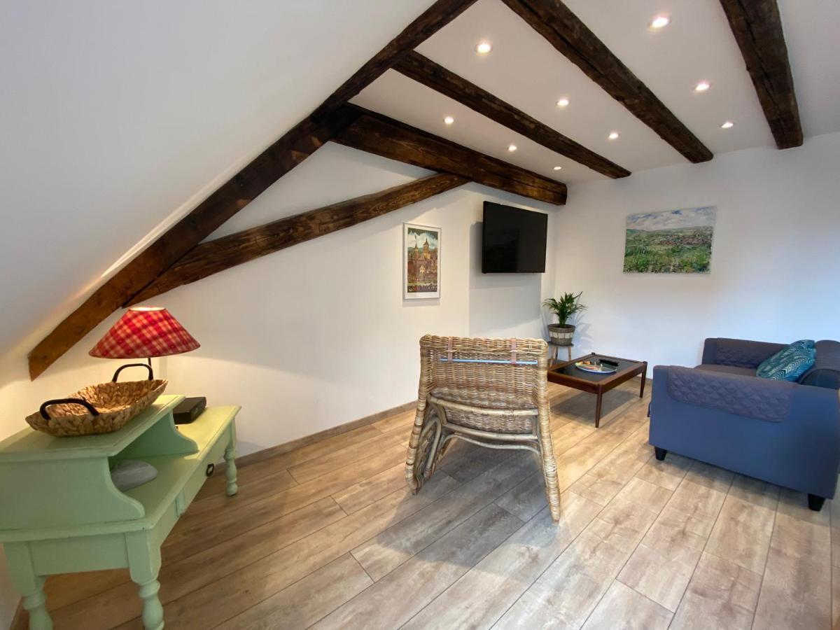 L'Ours De Colmar - Appartements En Centre Ville Екстериор снимка