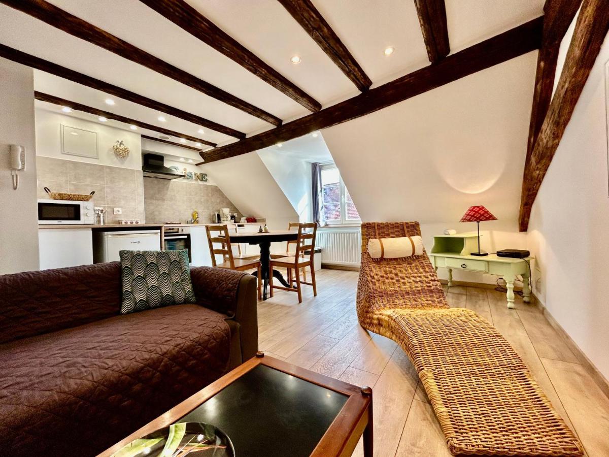 L'Ours De Colmar - Appartements En Centre Ville Екстериор снимка